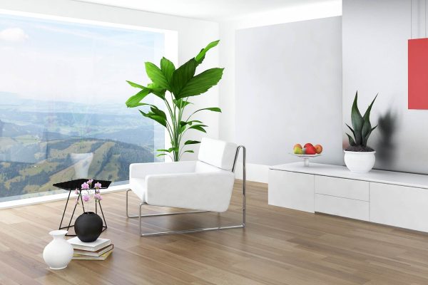 Unique Interior Models
